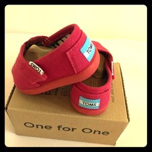 Baby red Toms
